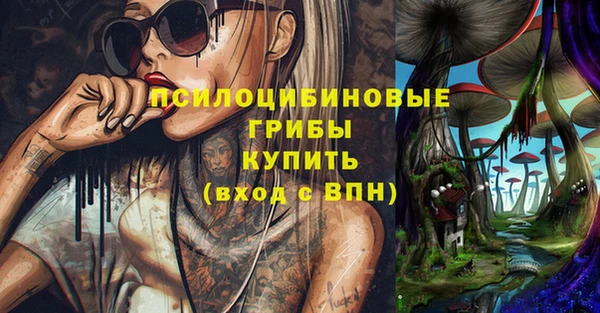 ГАЛЛЮЦИНОГЕННЫЕ ГРИБЫ Краснотурьинск